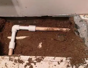 三元测漏水哪家好