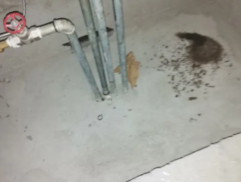 三元卫生间测漏水价格明细