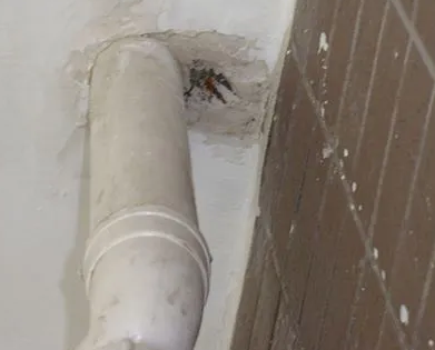 三元漏水检测哪家好